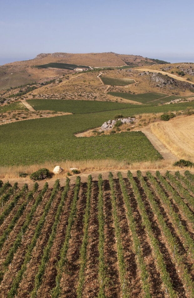 Serra Ferdinandea