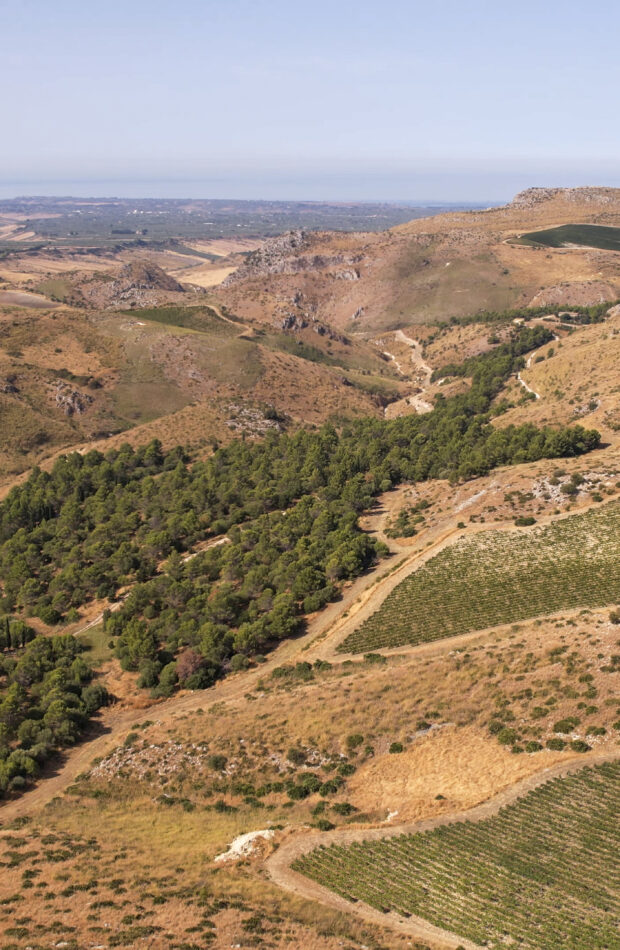 Serra Ferdinandea