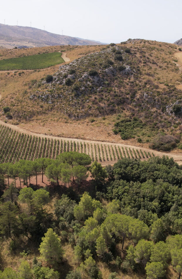Serra Ferdinandea